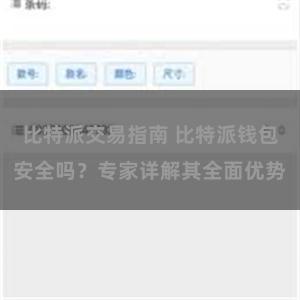 比特派交易指南 比特派钱包安全吗？专家详解其全面优势