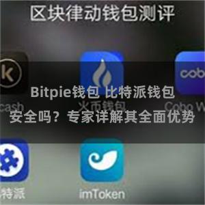 Bitpie钱包 比特派钱包安全吗？专家详解其全面优势