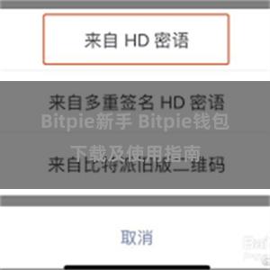 Bitpie新手 Bitpie钱包下载及使用指南