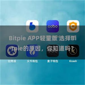 Bitpie APP轻量版 选择Bitpie的原因，你知道吗？