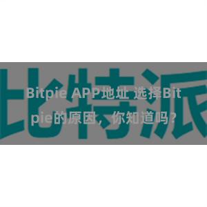 Bitpie APP地址 选择Bitpie的原因，你知道吗？