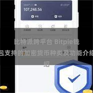 比特派跨平台 Bitpie钱包支持的加密货币种类及功能介绍