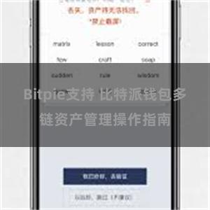 Bitpie支持 比特派钱包多链资产管理操作指南