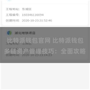 比特派钱包官网 比特派钱包多链资产管理技巧：全面攻略