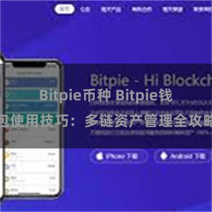 Bitpie币种 Bitpie钱包使用技巧：多链资产管理全攻略