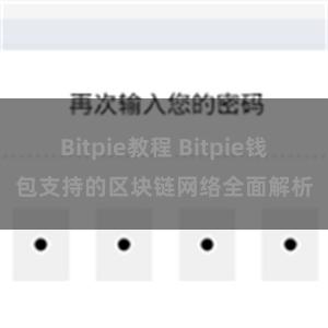 Bitpie教程 Bitpie钱包支持的区块链网络全面解析