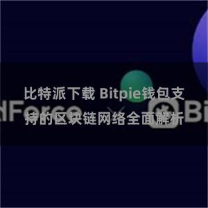 比特派下载 Bitpie钱包支持的区块链网络全面解析