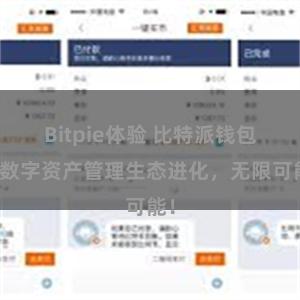 Bitpie体验 比特派钱包：数字资产管理生态进化，无限可能！