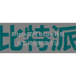 Bitpie官网 Bitpie钱包常见问题解决方法