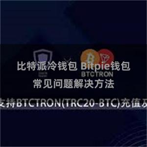 比特派冷钱包 Bitpie钱包常见问题解决方法