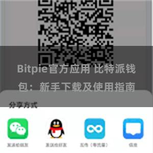 Bitpie官方应用 比特派钱包：新手下载及使用指南