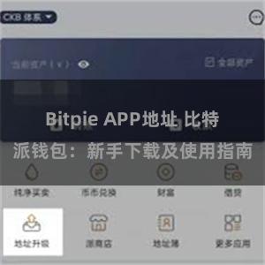 Bitpie APP地址 比特派钱包：新手下载及使用指南