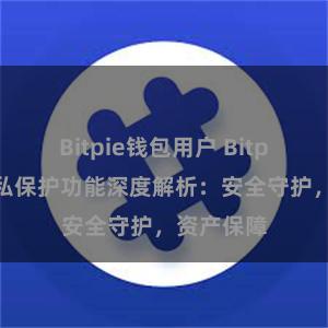 Bitpie钱包用户 Bitpie钱包隐私保护功能深度解析：安全守护，资产保障