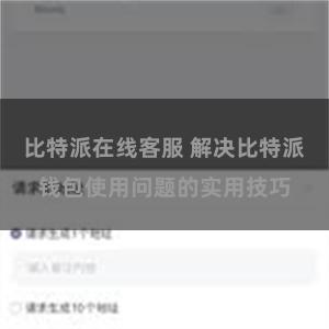 比特派在线客服 解决比特派钱包使用问题的实用技巧