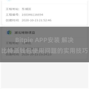 Bitpie APP安装 解决比特派钱包使用问题的实用技巧