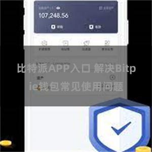 比特派APP入口 解决Bitpie钱包常见使用问题