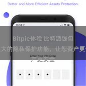 Bitpie体验 比特派钱包：强大的隐私保护功能，让您资产更安全