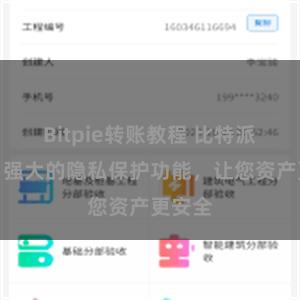 Bitpie转账教程 比特派钱包：强大的隐私保护功能，让您资产更安全