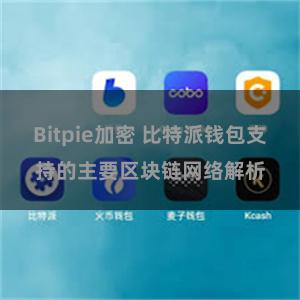 Bitpie加密 比特派钱包支持的主要区块链网络解析