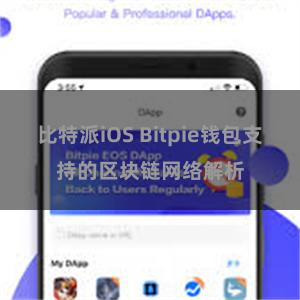 比特派iOS Bitpie钱包支持的区块链网络解析