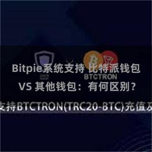 Bitpie系统支持 比特派钱包 VS 其他钱包：有何区别？