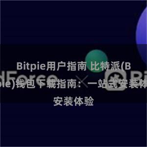 Bitpie用户指南 比特派(Bitpie)钱包下载指南：一站式安装体验