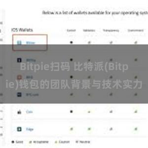 Bitpie扫码 比特派(Bitpie)钱包的团队背景与技术实力