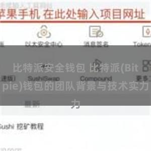 比特派安全钱包 比特派(Bitpie)钱包的团队背景与技术实力