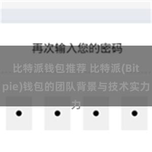 比特派钱包推荐 比特派(Bitpie)钱包的团队背景与技术实力