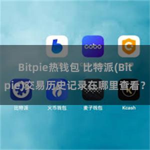 Bitpie热钱包 比特派(Bitpie)交易历史记录在哪里查看？