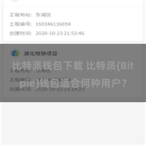 比特派钱包下载 比特派(Bitpie)钱包适合何种用户？