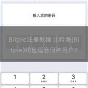 Bitpie注册教程 比特派(Bitpie)钱包适合何种用户？