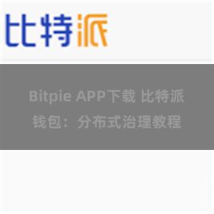 Bitpie APP下载 比特派钱包：分布式治理教程