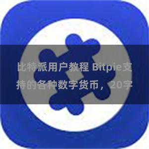 比特派用户教程 Bitpie支持的各种数字货币，20字