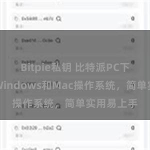 Bitpie私钥 比特派PC下载：兼容Windows和Mac操作系统，简单实用易上手