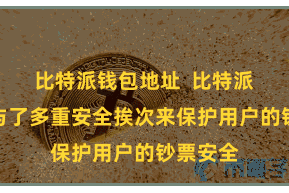 比特派钱包地址  比特派钱包给与了多重安全挨次来保护用户的钞票安全