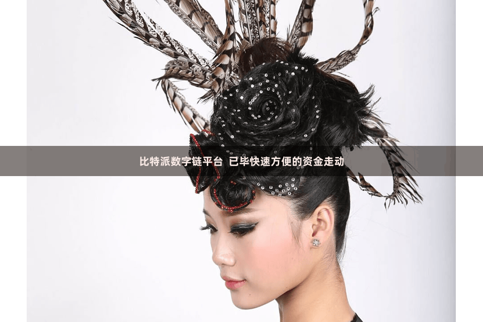 比特派数字链平台  已毕快速方便的资金走动