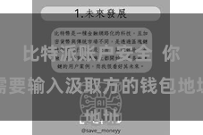 比特派账户安全  你需要输入汲取方的钱包地址