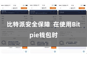 比特派安全保障  在使用Bitpie钱包时