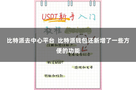 比特派去中心平台  比特派钱包还新增了一些方便的功能