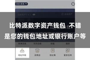 比特派数字资产钱包  不错是您的钱包地址或银行账户等
