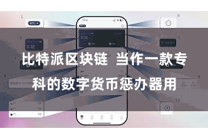 比特派区块链  当作一款专科的数字货币惩办器用