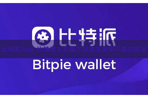 比特派App  比特派大家版齐好像感奋你不同的需求