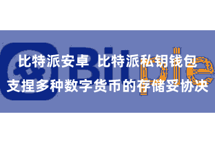 比特派安卓  比特派私钥钱包支捏多种数字货币的存储妥协决