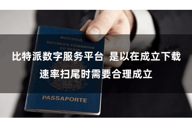 比特派数字服务平台  是以在成立下载速率扫尾时需要合理成立